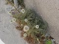 2005-07-07 _ 15-21-29